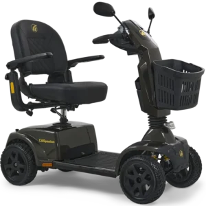 Companion 4-Wheel